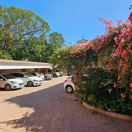 Apartment Malagueta Penthouse Premium *